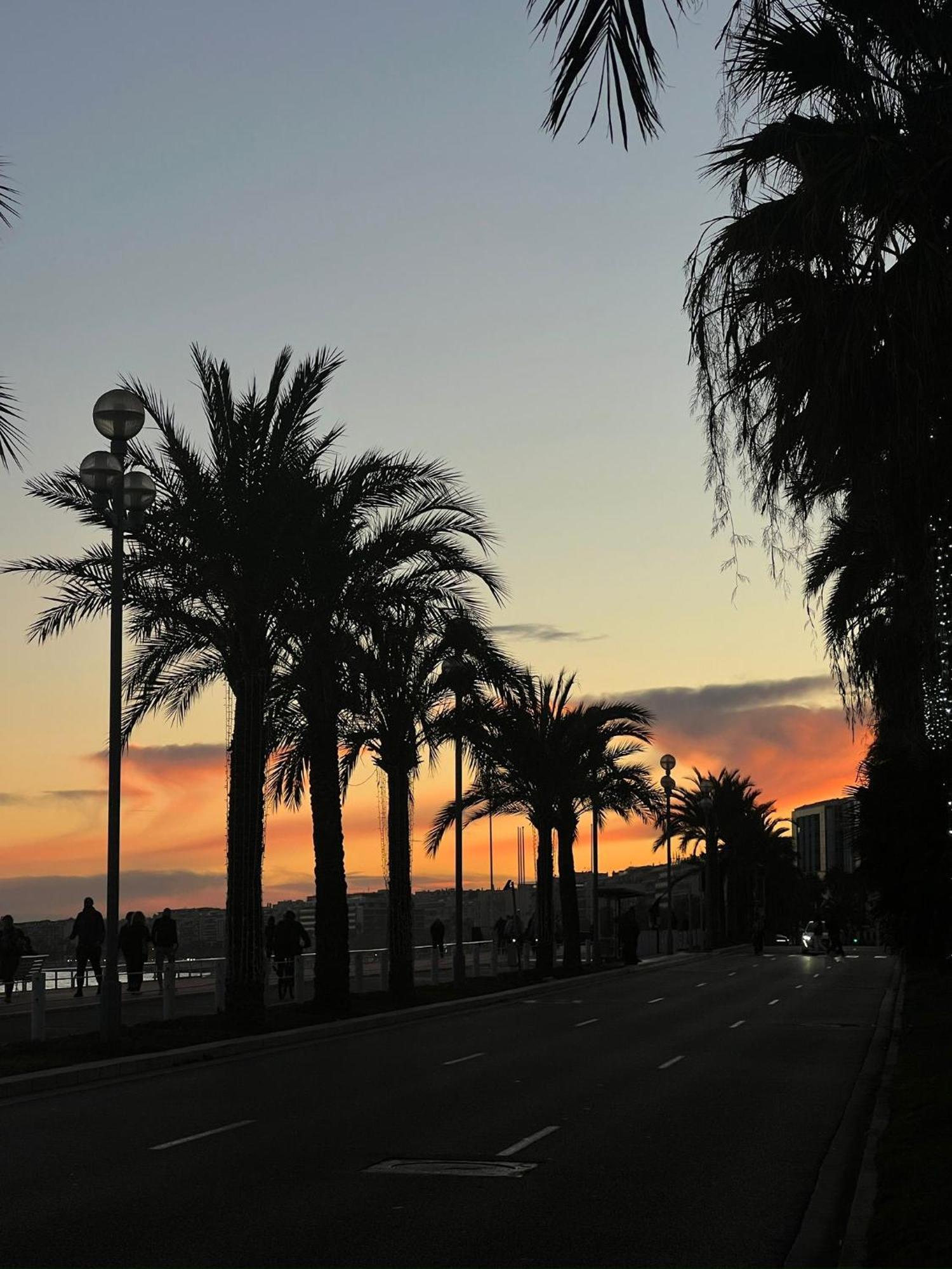 Seaview Serenity Leilighet *