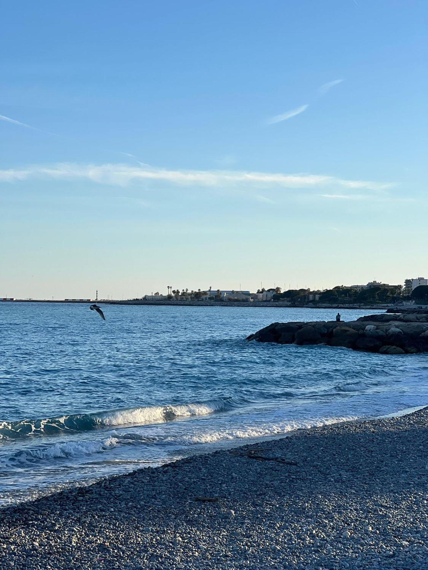 Leilighet Seaview Serenity Nice